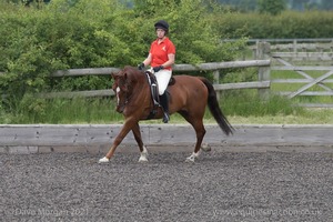 ISIS Dressage Challenge 2008